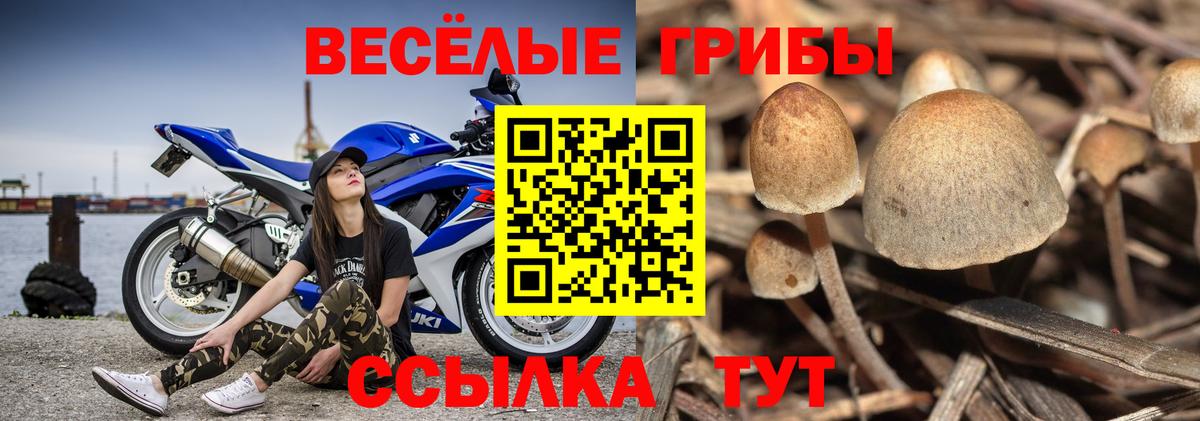 Среднеуральск  Галлюциногенные грибы мухоморы  Вход с VPN 