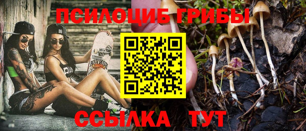 Галлюциногенные грибы Cubensis Среднеуральск